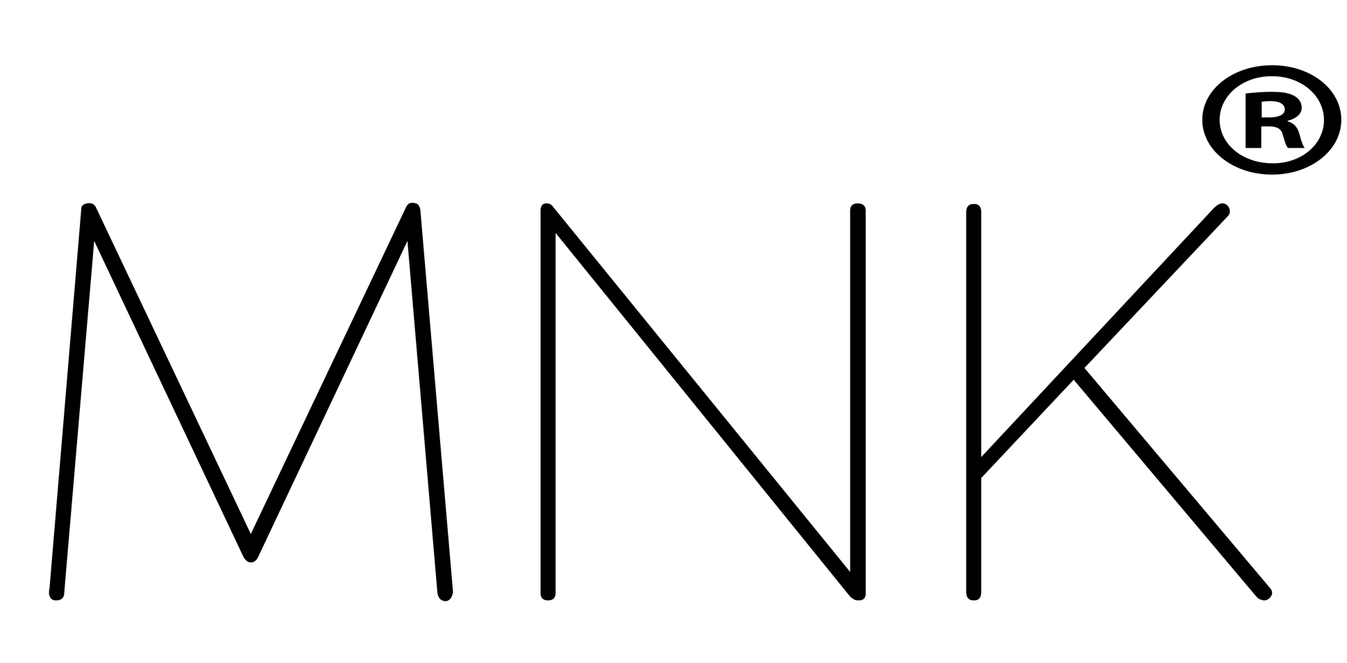 MNK - PROHOOD Laptop Case Logo